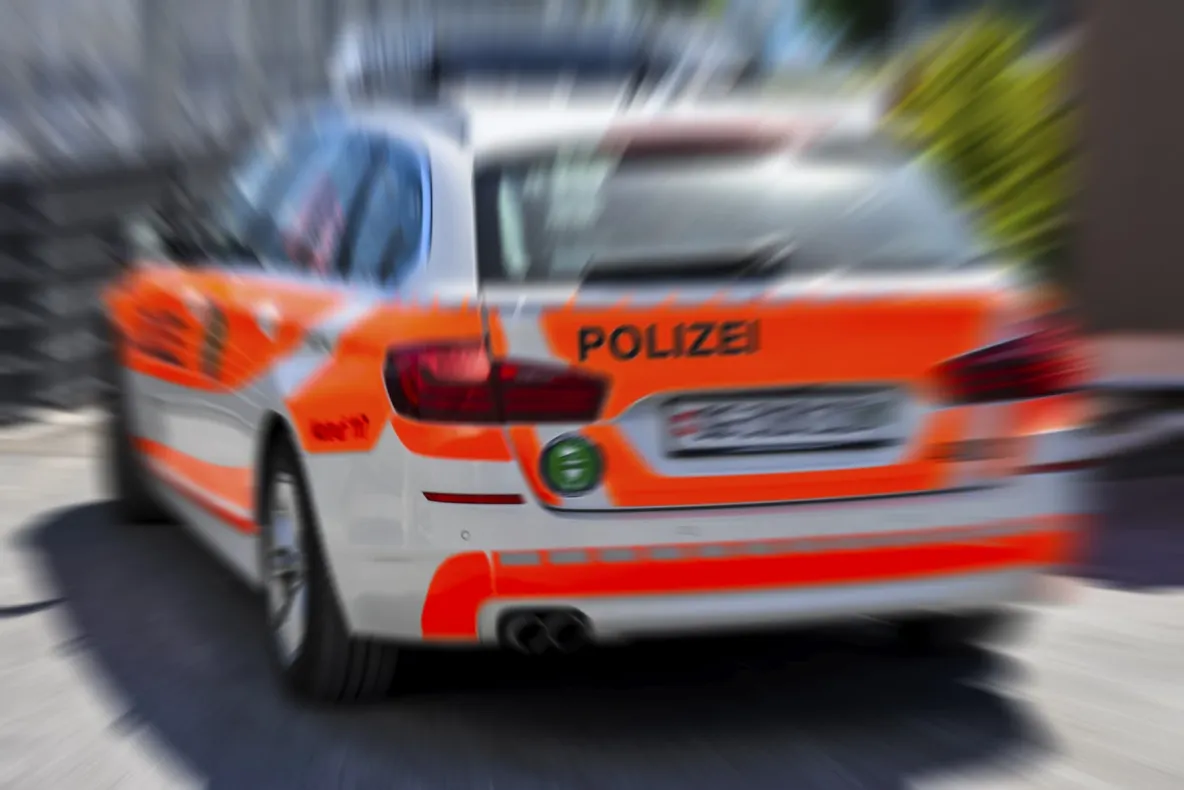Accident neobișnuit în Elveția: o trăsură cu turiști s-a izbit de un copac. Un mort și 12 răniți
