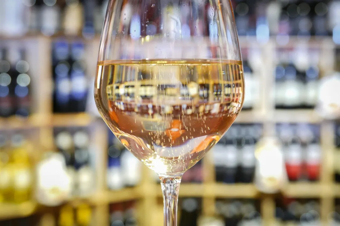 Canicula schimbă regulile în podgoriile Italiei. Strugurii pentru vin spumant, culeși noaptea 