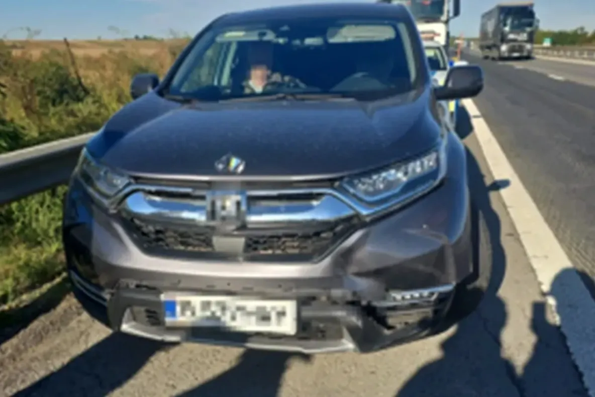 Accident pe A1: o mașină a lovit un porc. Trei persoane se aflau în autoturism