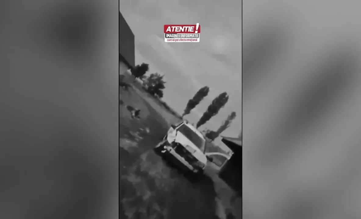 Doi frați, bătuți cu ranga în urma unui conflict pentru un teren. Două persoane au fost reținute