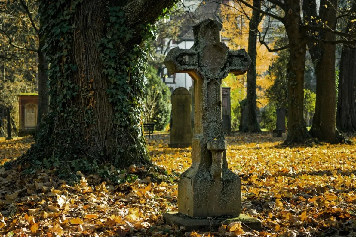 Locuitorii unui cartier din Arad, exasperați. Singurul „parc” unde se pot plimba este un cimitir. Decizia luată după ani de așteptare