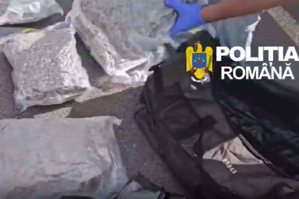 Captură uriașă de droguri în Ilfov. 21 de kilograme de canabis găsite în mașina unui dealer