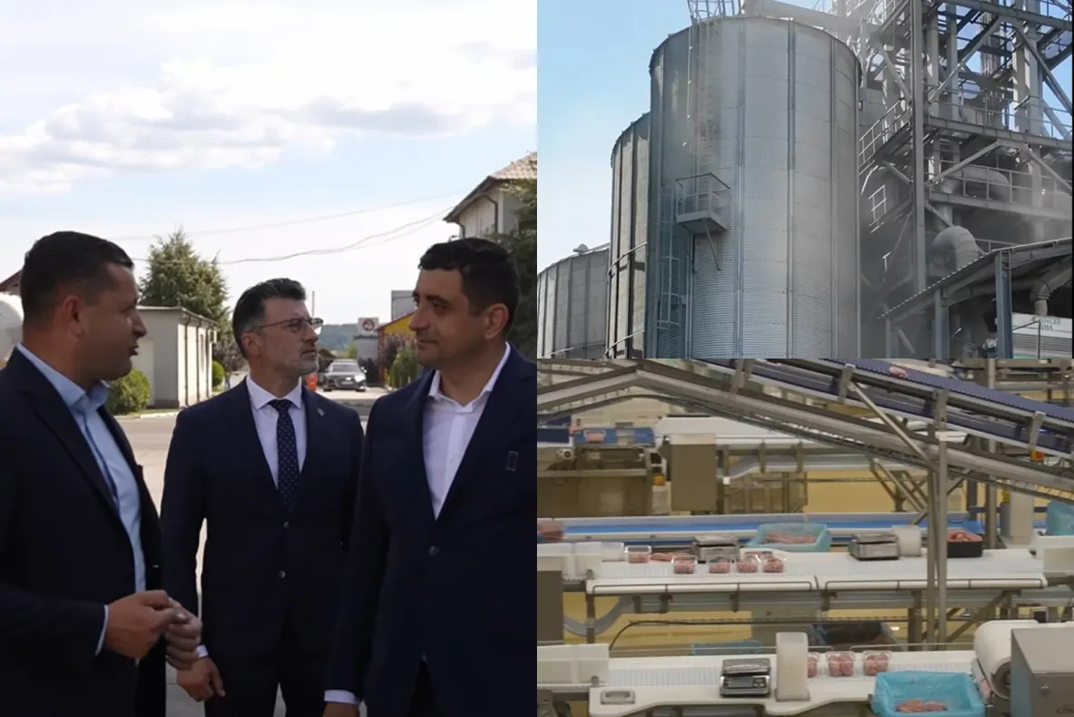 George Simion, în vizită la unul dintre cei mai mari producători de carne de pui din țară: ”Se poate și în România!”-VIDEO
