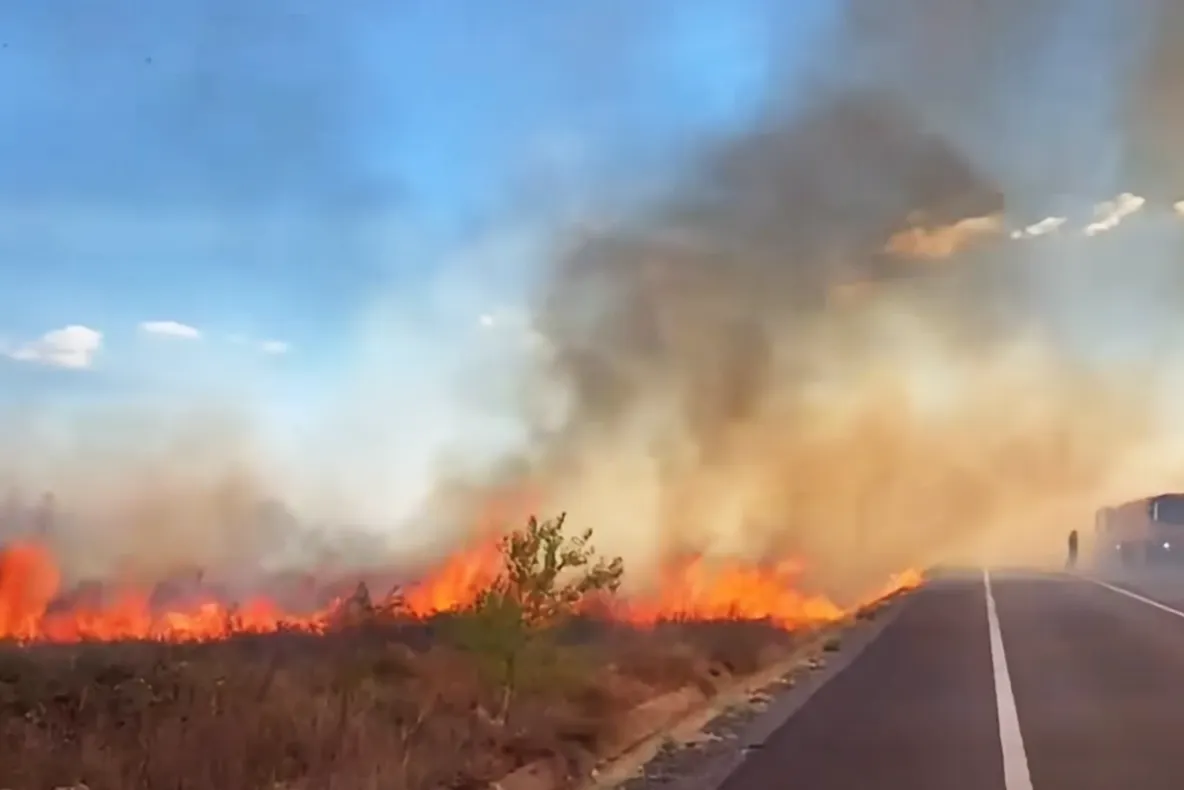 Incendiu de vegetație la Drobeta-Turnu Severin. Centura orașului a fost blocată, iar o localitate a rămas fără internet