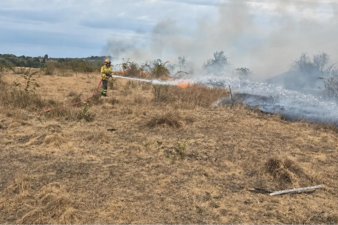 Incendii de pădure în Bihor și Vâlcea. Flăcările au afectat circa 25 de hectare