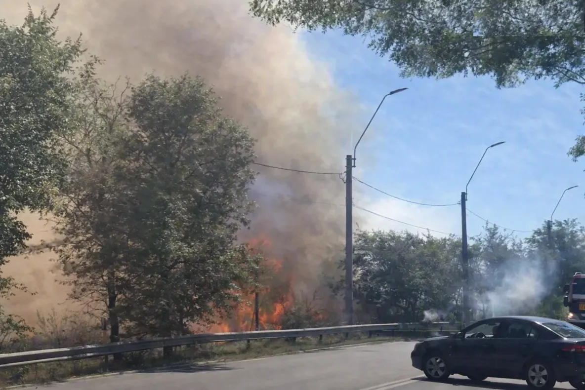 Incendiu puternic de vegetație la ieșirea din Brăila. Trafic blocat pe șoseaua spre Galați - VIDEO
