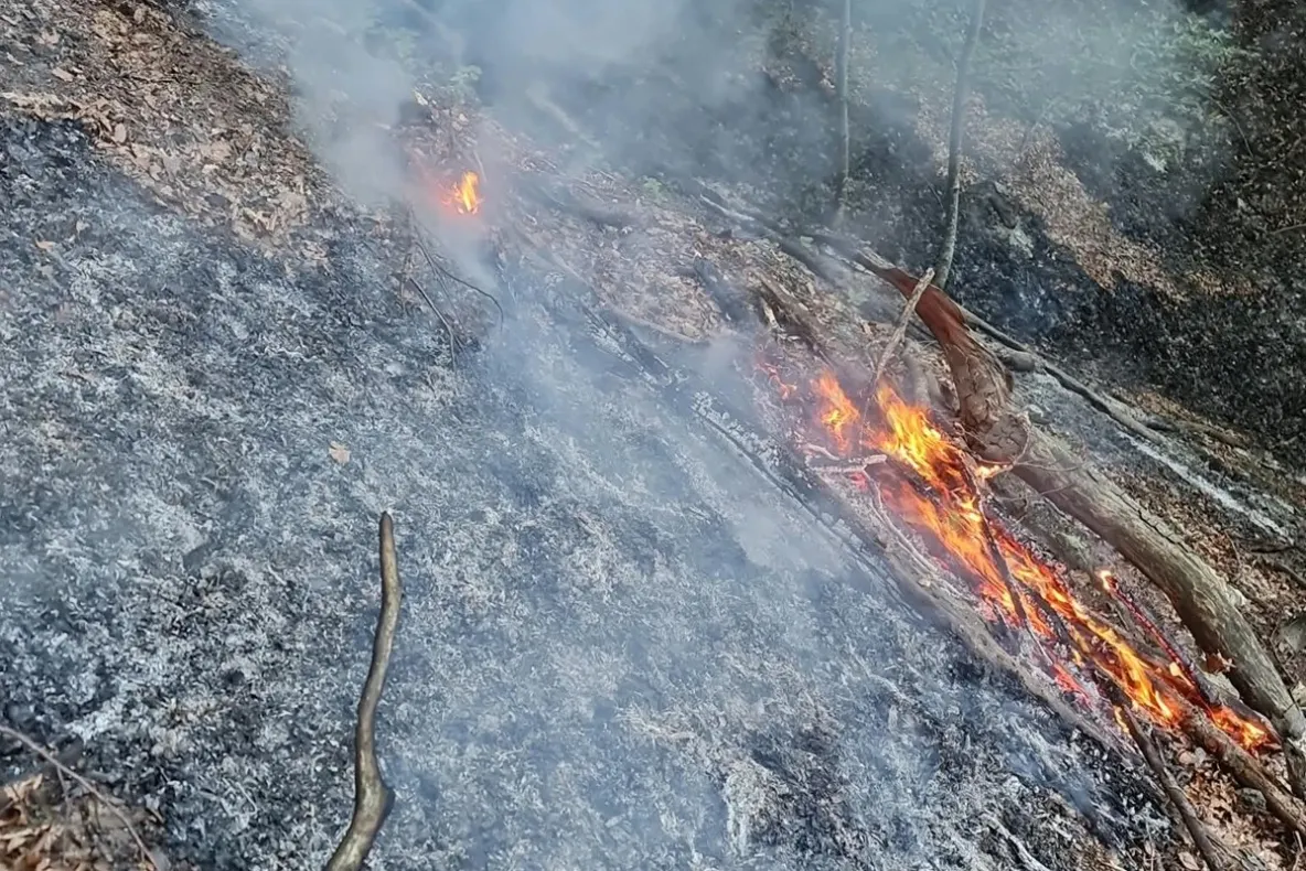 Incendii în Domogled și la Băile Olănești: intervenții cu elicoptere Black Hawk și avioane Spartan - FOTO