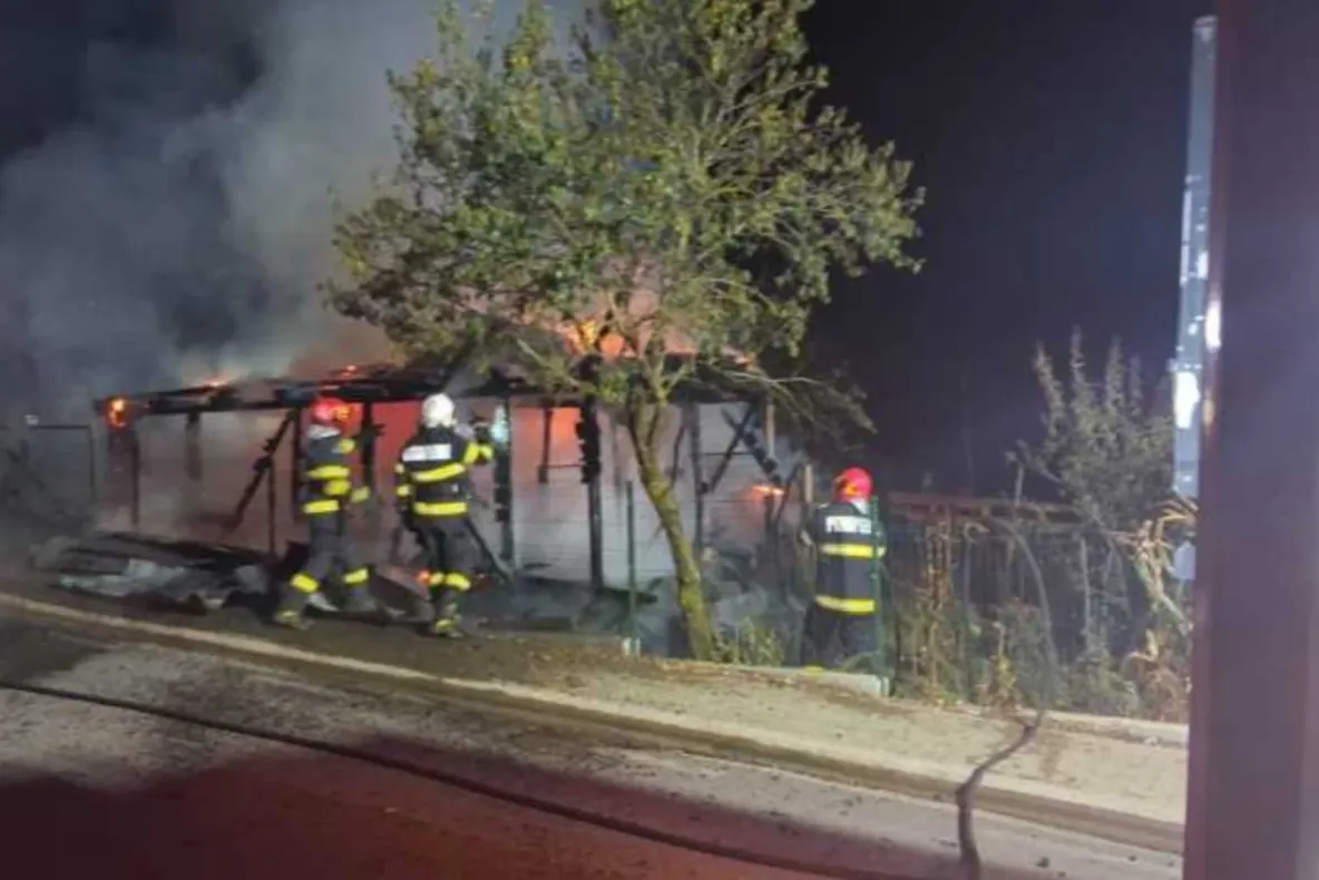 Incendiu de proporții în județul Mureș. Două anexe gospodărești au fost cuprinse de flăcări, iar 20 de păsări au murit