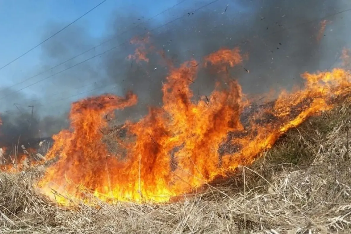 Incendiu de proporții în Parcul Național Domogled. Flăcările au afectat 400 de hectare, iar elicopterele au făcut peste 500 de aruncări cu apă