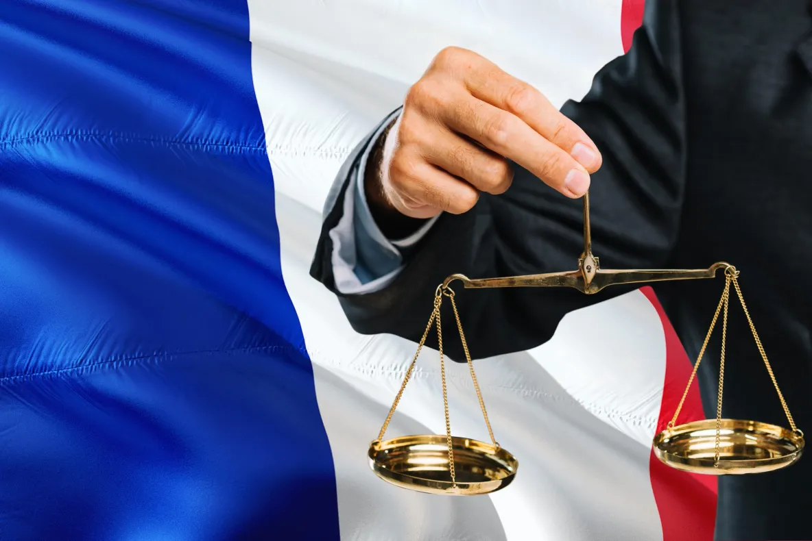 Alegeri anulate în Franța după victoria la 59 de voturi a extremei drepte. Ce a descoperit instanța