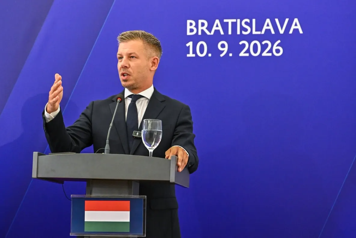 Peter Magyar pune condiții pentru aderarea Ucrainei la UE. Ce trebuie să se schimbe pentru comunitatea maghiară din Transcarpatia