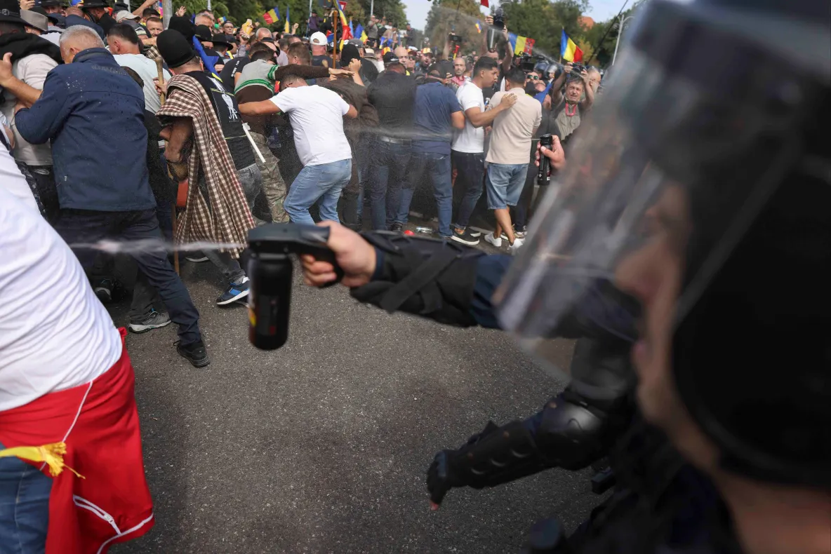 Guvernul reacționează după protestul ciobanilor din Piața Victoriei. Ce măsuri sunt anunțate pentru sectorul ovin