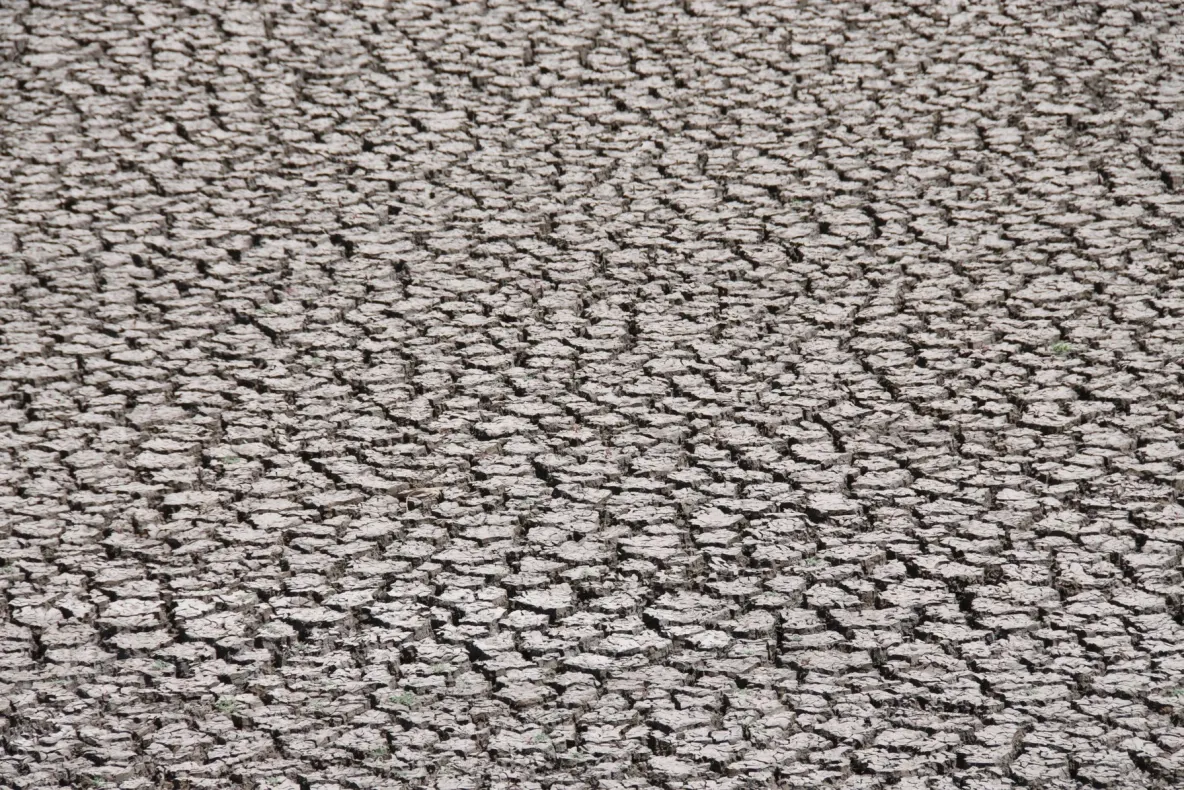 Alertă climatică: El Nino, aproape de un record istoric. Secetă, inundații și caniculă