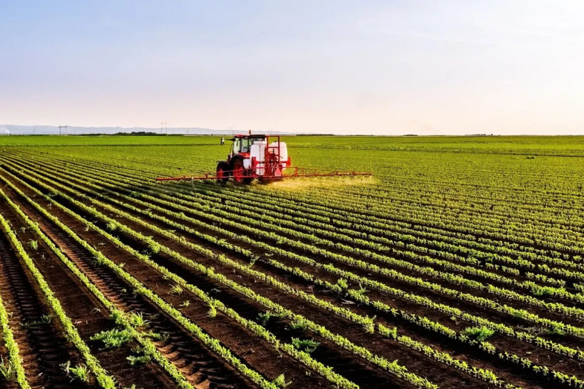 De ce miroase agricultura: ce legătură are mirosul unui câmp fertilizat, simțit uneori la kilometri distanță, cu hrana de calitate