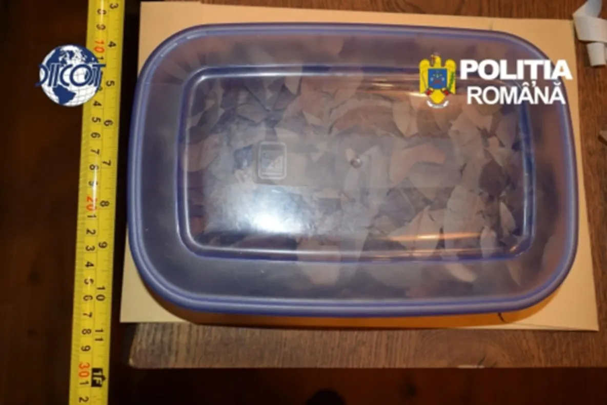 Droguri și zeci de mii de euro, descoperite la o fundație dedicată „explorării conștiinței” din Hunedoara. Doi soți, reținuți