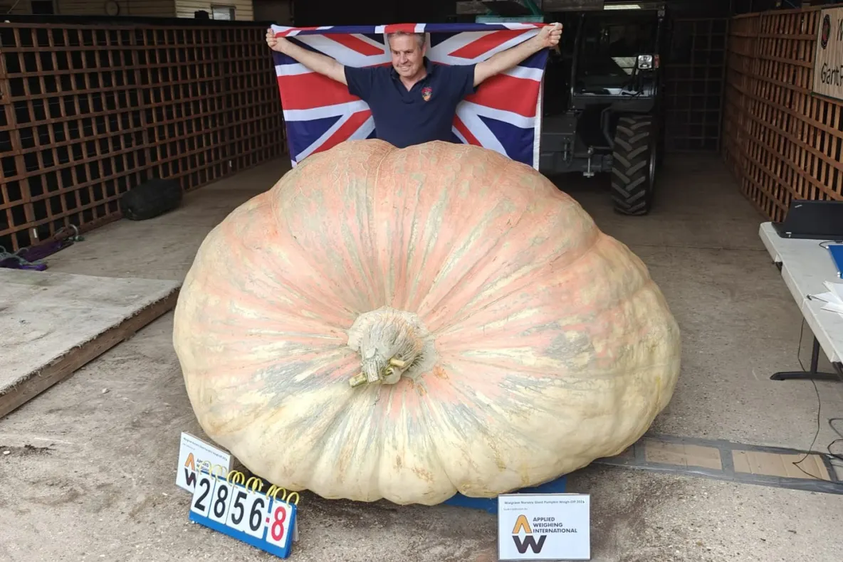 Un britanic a crescut un dovleac mare cât un hipopotam și a înscris un nou record mondial