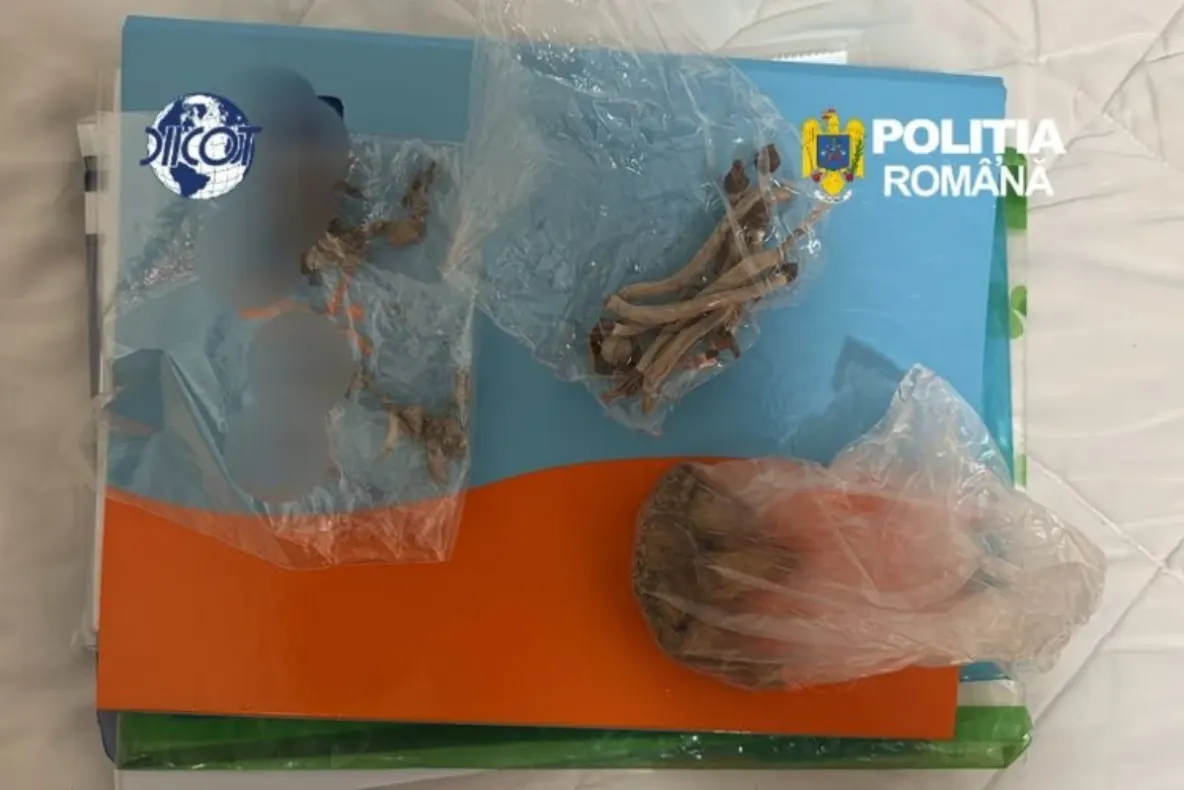 Doi oameni, reținuți la Galați după ce ar fi adus din Spania droguri ascunse într-un colet. Anchetatorii au găsit canabis și cocaină