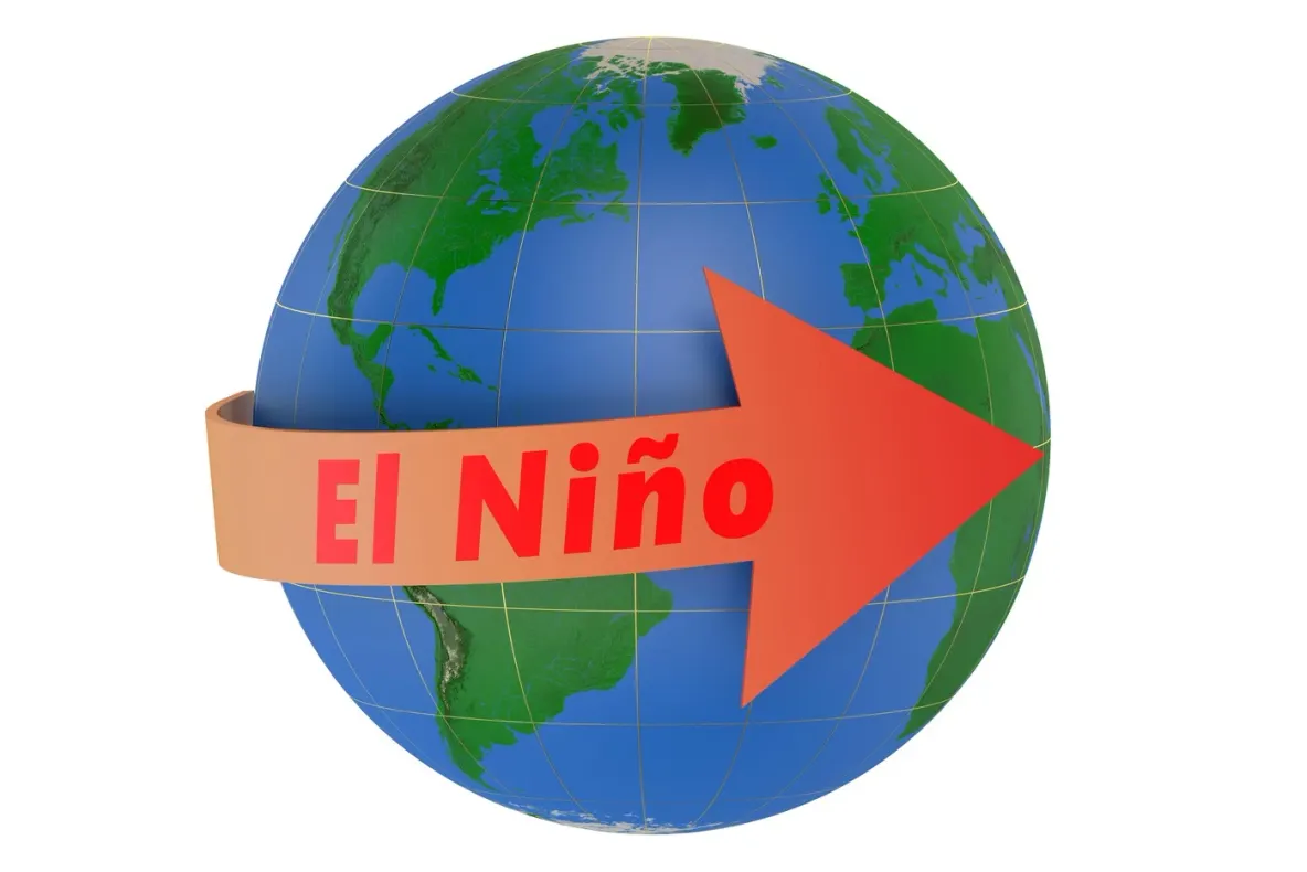 El Nino se intensifică și ar putea atinge un nivel record în decembrie. Avertismentul ONU