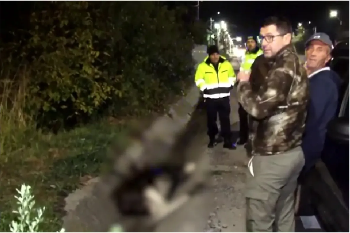 Mister la Pitești! Un elan, specie dispărută din România de aproape 200 de ani, a fost lovit mortal de un camion