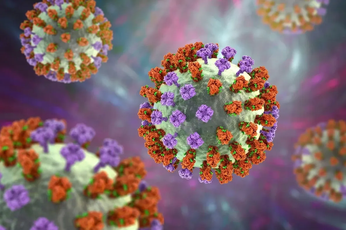 A fost confirmat primul deces cu virus gripal din acest sezon în România. Anunțul INSP