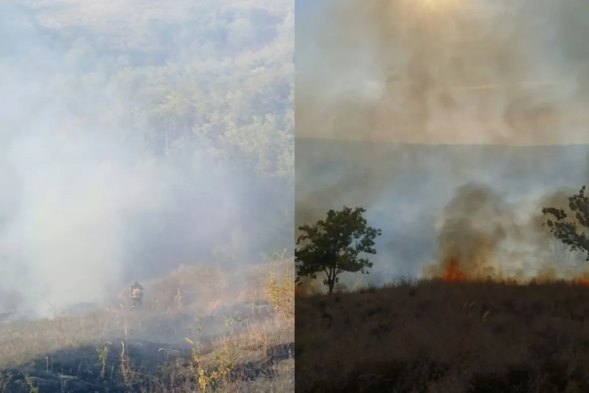 Incendiu de vegetație în județul Bacău. Aproximativ 50 de hectare de teren, mistuite de flăcări