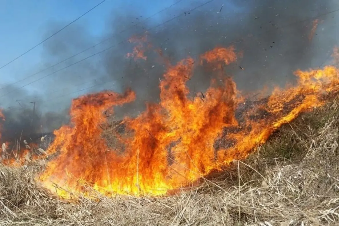 Incendiu de pădure în Vâlcea, în apropierea Mănăstirii Boia. Pompierii au identificat trei focare