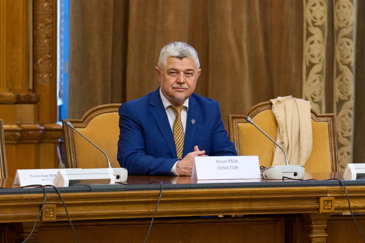 Senatorul Ninel Peia, avertisment privind justiția din România: „Dreptatea nu se face cu prețul dezbinării unei națiuni”