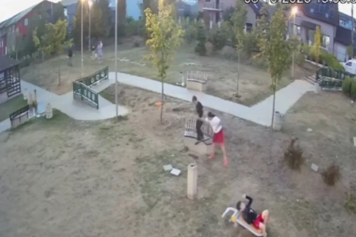 Tineri surprinși în timp ce distrugeau mobilierul unui parc din Bistrița. Primarul cere ajutorul localnicilor pentru identificarea lor