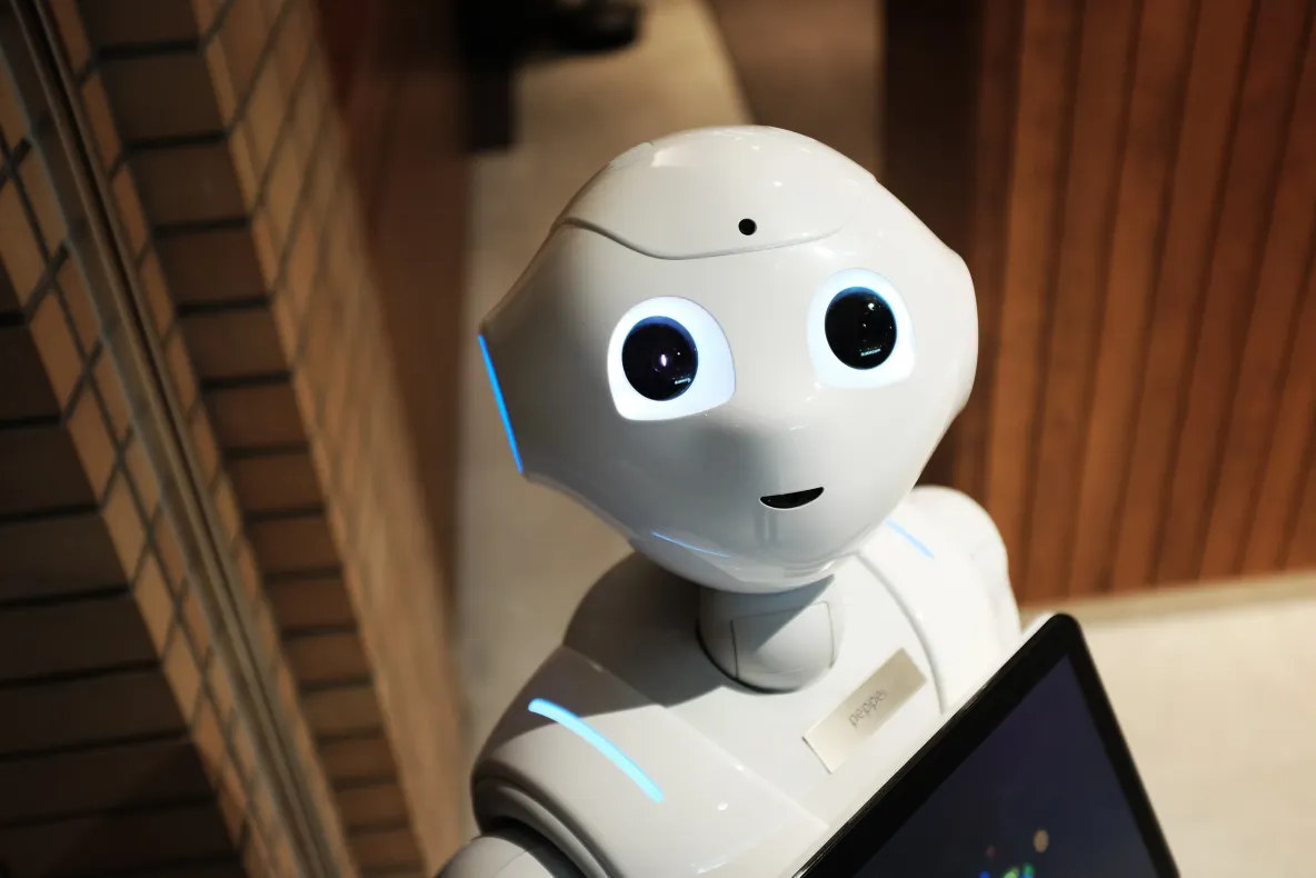 Caz șocant în Germania: o adolescentă de 16 ani ar fi fost agresată sexual de un robot, la comanda proprietarului