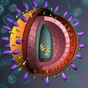 Vulnerabilitatea umană la HIV provine din timpuri preistorice