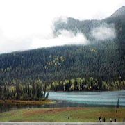 China vrea să pună bazele unui parc naţional de 10.000 de kilometri pătraţi