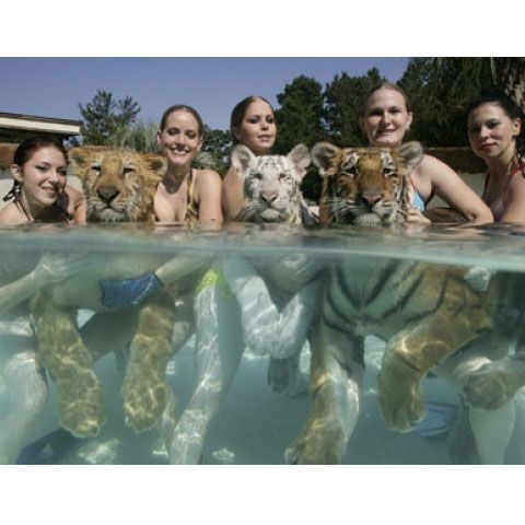 Cele mai frumoase imagini cu animale - Galerie FOTO