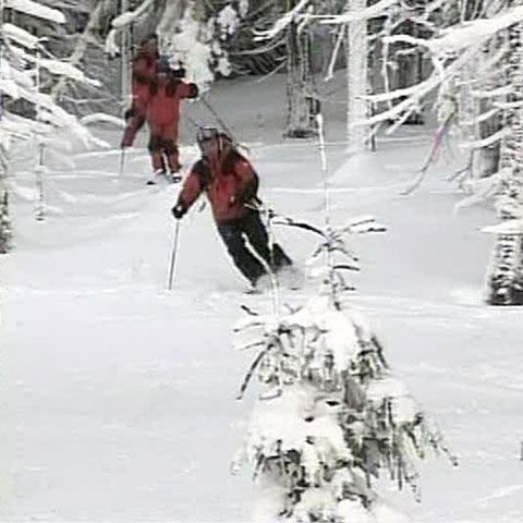Drumeţie prin Pasul Vâlcan