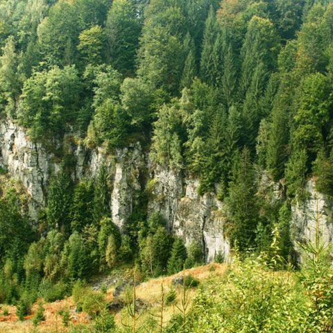 Fonduri pentru ariile protejate din România în 2009