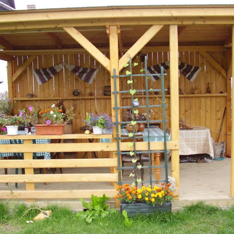 22 de studenţi din Capitală şi-au încheiat vacanţa evacuaţi 