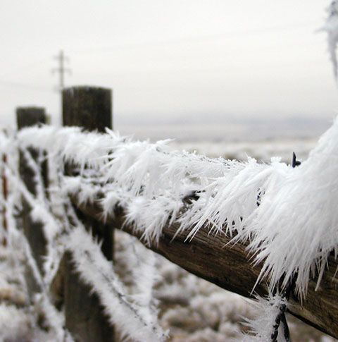 La Întorsura Buzăului temperatura a scăzut până la minus 30 de grade 