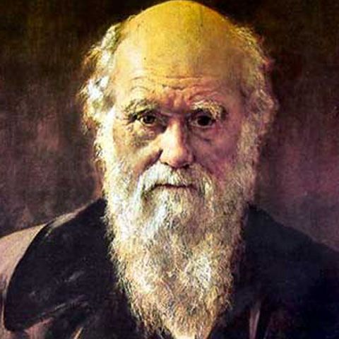 În 2009 sărbătorim 200 de ani de la naşterea naturalistului Charles Darwin