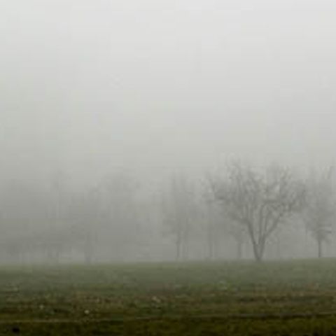 Ceaţa reduce vizibilitatea pe mai multe drumuri