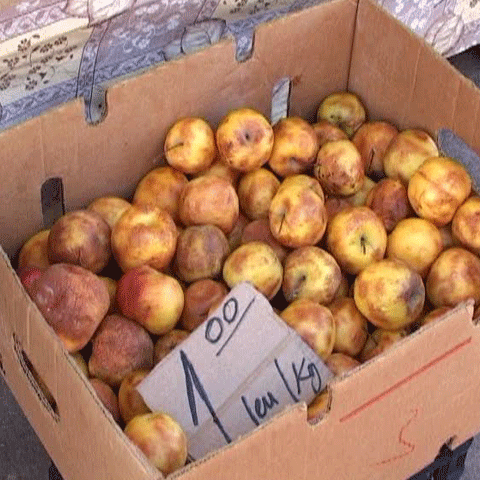 Gerul a îngheţat legumele şi fructele de pe tarabe 