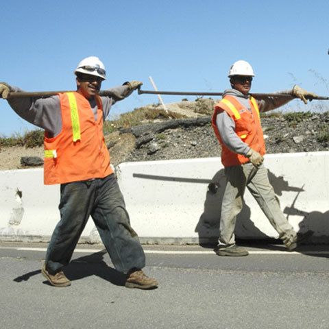 Marea Britanie a mărit cu 30% numărul slujbelor din agricultură oferite românilor şi bulgarilor
