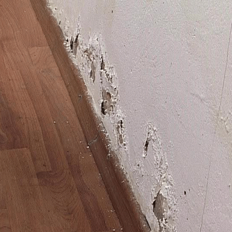 Un sfert dintre posturile de poliţie sunt în stare avansată de degradare