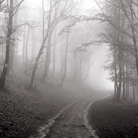 Circulaţie îngreunată în judeţul Prahova, din cauza ceţii dense