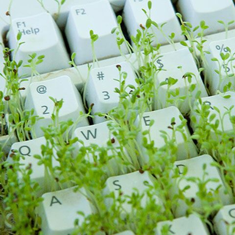 Cum să avem un computer verde