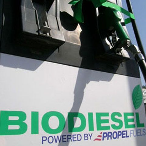 CNA-ul britanic a interzis sloganul unei campanii pentru biocombustibili