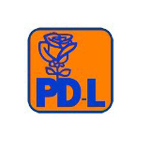 Priorităţile PD-L: salarizarea unică, interzicerea cumulului pensie-salariu şi revizuirea Constituţiei