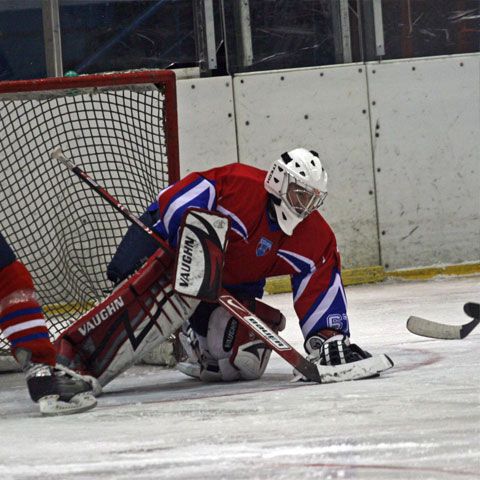 Incidente între fani şi jandarmi la meciul de hochei Steaua - Ferencvaros! 26 de suporteri au fost sancţionaţi contravenţional 