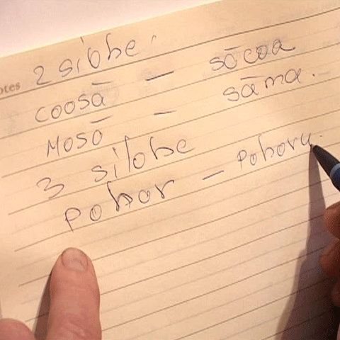 În localitatea Totoi, judeţul Alba, se vorbeşte o limbă specifică locului 