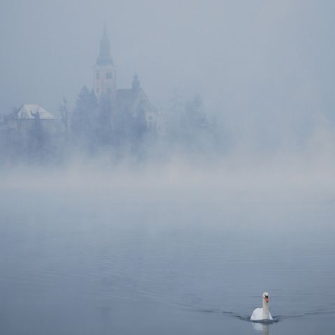 Cercetătorii olandezi cred că încălzirea globală este determinată de lipsa ceţii