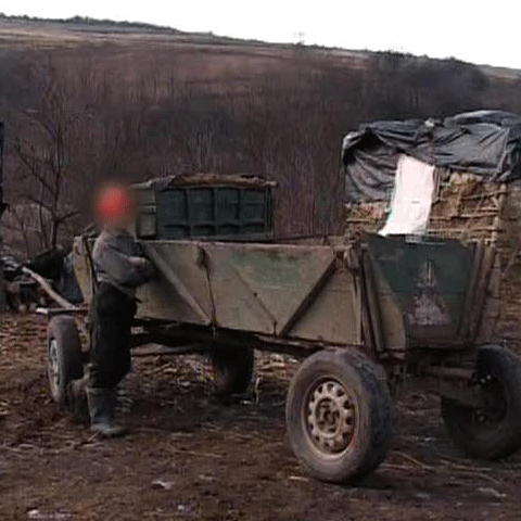 Cinci fraţi din Alba, bătuţi în mod repetat de tatăl lor, au apelat la autorităţi pentru a-i salva