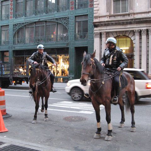 Oprescu îşi face poliţie călare